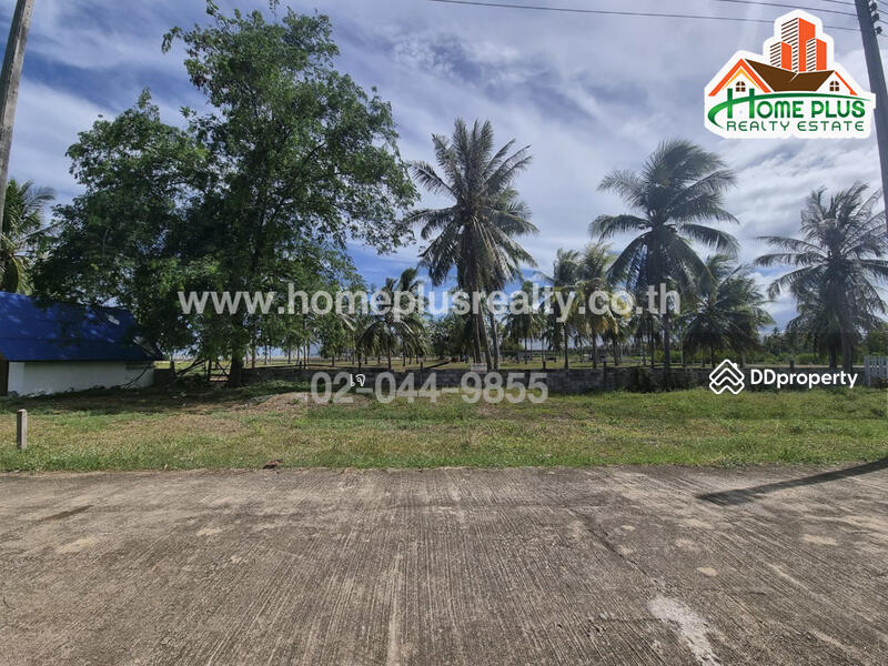 ที่ดินใกล้หาดกุยบุรี อำเภอกุยบุรี ประจวบคีรีขันธ์, ประจวบคีรีขันธ์, กุยเหนือ, กุยบุรี, ประจวบคีรีขันธ์, 160 ตร.ม., ที่ดิน ขาย, โดย เจ, 10355790 - DDproperty.com