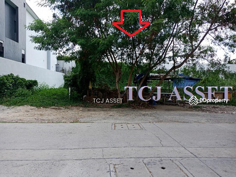 ที่ดิน ซอย แบริ่ง 58/8, สมุทรปราการ, สำโรงเหนือ, เมืองสมุทรปราการ, สมุทรปราการ, 200 ตร.ม., ที่ดิน ขาย, โดย จิณณ์กระวี เตชะไชยนันท์, 10382479 - DDproperty.com