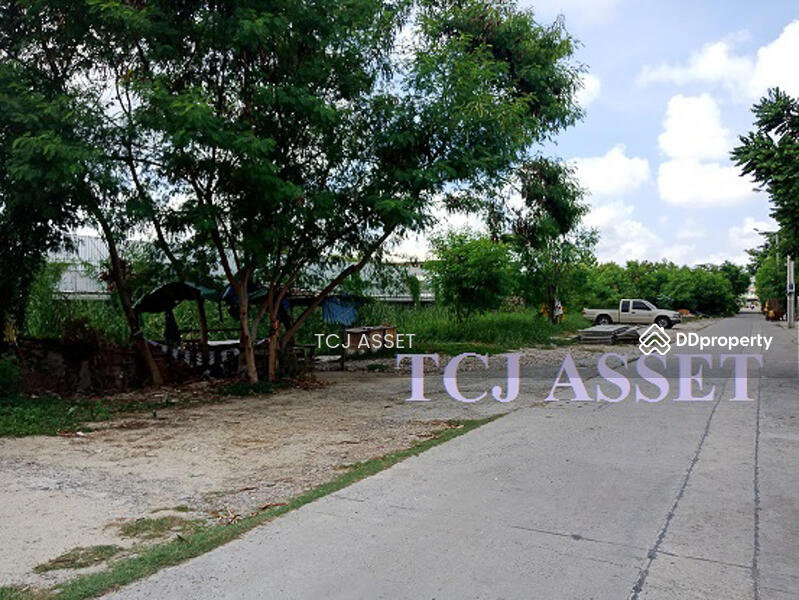 ที่ดิน ซอย แบริ่ง 58/8, สมุทรปราการ, สำโรงเหนือ, เมืองสมุทรปราการ, สมุทรปราการ, 200 ตร.ม., ที่ดิน ขาย, โดย จิณณ์กระวี เตชะไชยนันท์, 10382479 - DDproperty.com