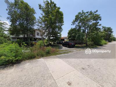 ขาย - ที่ดิน, ฉะเชิงเทรา