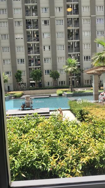 Manor Sanambinnam, Nonthaburi, 557 Nonthaburi Road, Bang Kra So, Muang Nonthaburi, Nonthaburi, 1 Bedroom, 26 sqm, Condo For Sale, by Cat Real Estate (Thailand) Co., Ltd., 10387802 - DDproperty.com