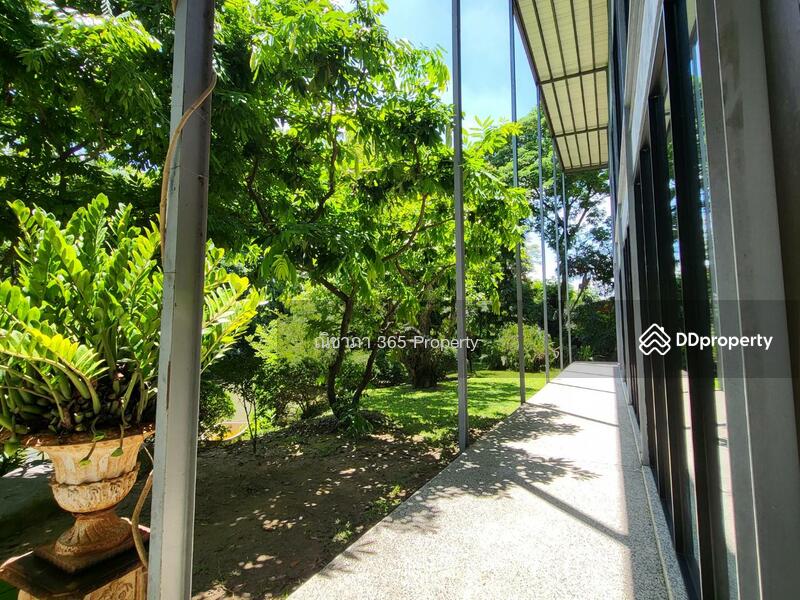 ขาย - ขาย บ้าน ออฟฟิต หลังใหญ่ Modern loft style พื้นที่ใช้ 1,540 ตรม.กาญจนภิเษก พุทธมลฑลสาย 4, กรุงเทพ