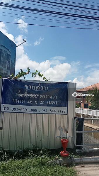 ขาย - เชียงใหม่ ป่าตัน, เชียงใหม่