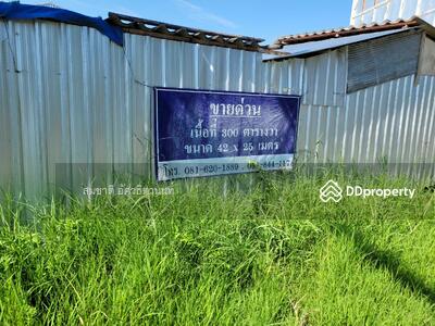 ขาย - เชียงใหม่ ป่าตัน, เชียงใหม่