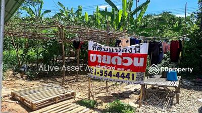 ขาย - ซอย สายไหม 17 แขวง สายไหม เขตสายไหม กรุงเทพมหานคร 10220, กรุงเทพ