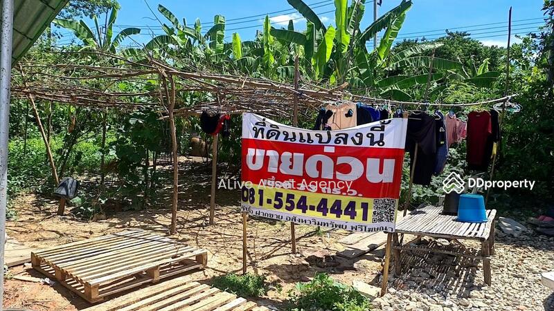 ขาย - ซอย สายไหม 17 แขวง สายไหม เขตสายไหม กรุงเทพมหานคร 10220, กรุงเทพ