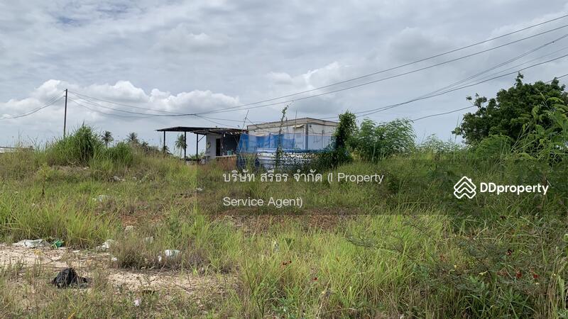 Land for sale at Ban-Bueng, Chonburi Province, Chon Buri (Pattaya), Serd-Noi, Ban Bung, Chon Buri (Pattaya), , 9,343 sqm, Land For Sale, by คุณจาตุรนต์ พงษ์สุโรจน์, 10399588 - DDproperty.com