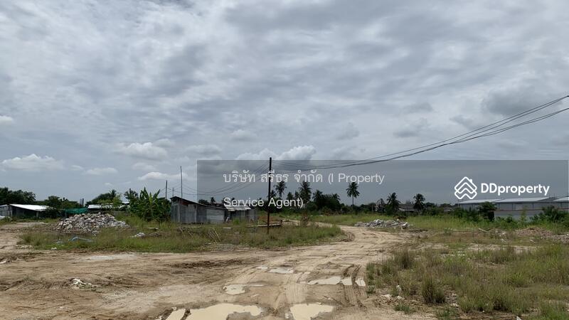 ตำบล บ้านบึง อำเภอบ้านบึง ชลบุรี 20170, ชลบุรี, Serd-Noi, บ้านบึง, ชลบุรี, 9,343 ตร.ม., ที่ดิน ขาย, โดย คุณจาตุรนต์ พงษ์สุโรจน์, 10399588 - DDproperty.com