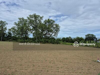 ขาย - หมู่ ที่ 2 ต. ยางสูง อ .ขาณุวรลักษบุรี จ.กำแพงเพชร ., กำแพงเพชร