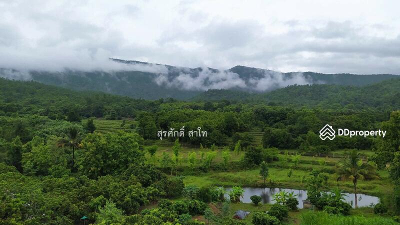 For Sale - Gardaen home 10-2-25 Rais Planting Longan,Bamboo trees, beautiful flower and water fall Sale 8.5 MB, Chiang Mai