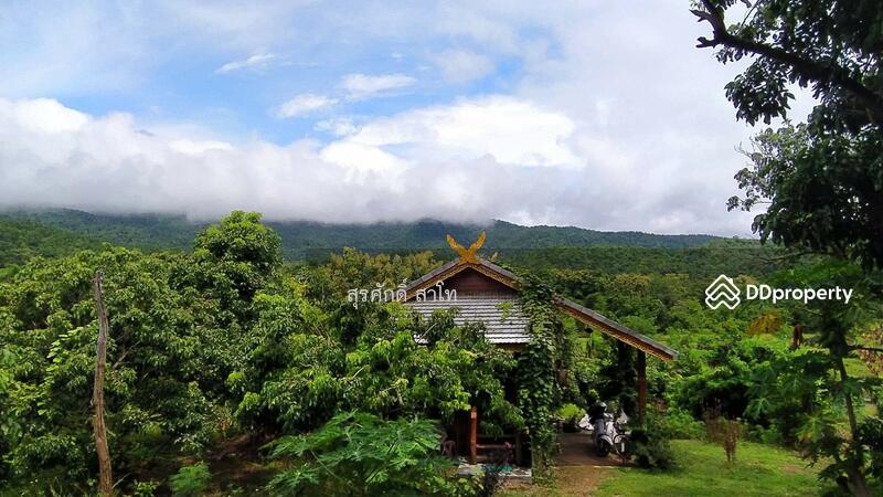 For Sale - Gardaen home 10-2-25 Rais Planting Longan,Bamboo trees, beautiful flower and water fall Sale 8.5 MB, Chiang Mai