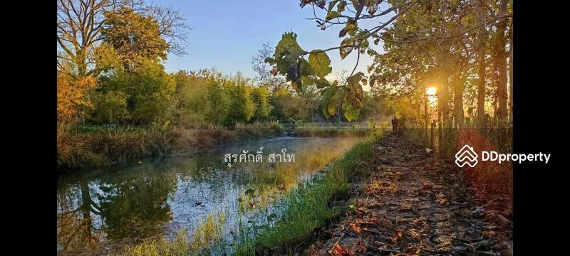 For Sale - Gardaen home 10-2-25 Rais Planting Longan,Bamboo trees, beautiful flower and water fall Sale 8.5 MB, Chiang Mai