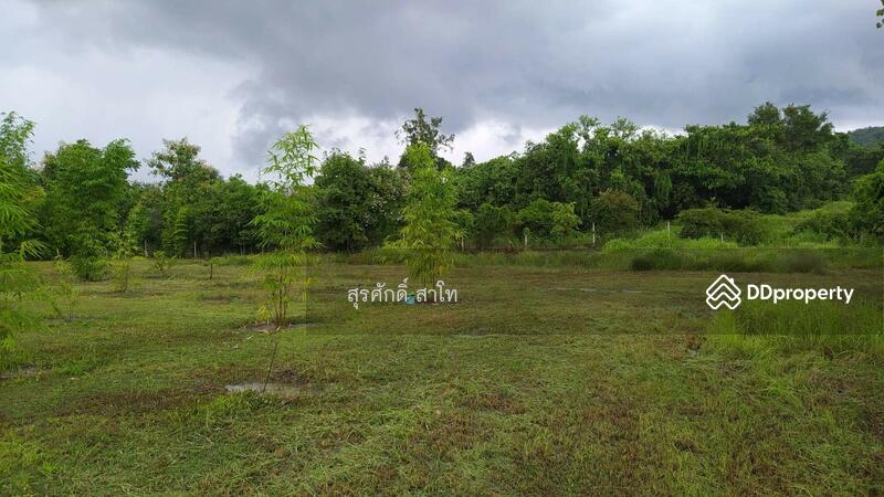 For Sale - Gardaen home 10-2-25 Rais Planting Longan,Bamboo trees, beautiful flower and water fall Sale 8.5 MB, Chiang Mai