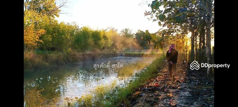 For Sale - Gardaen home 10-2-25 Rais Planting Longan,Bamboo trees, beautiful flower and water fall Sale 8.5 MB, Chiang Mai