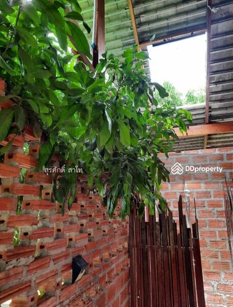 For Sale - Gardaen home 10-2-25 Rais Planting Longan,Bamboo trees, beautiful flower and water fall Sale 8.5 MB, Chiang Mai