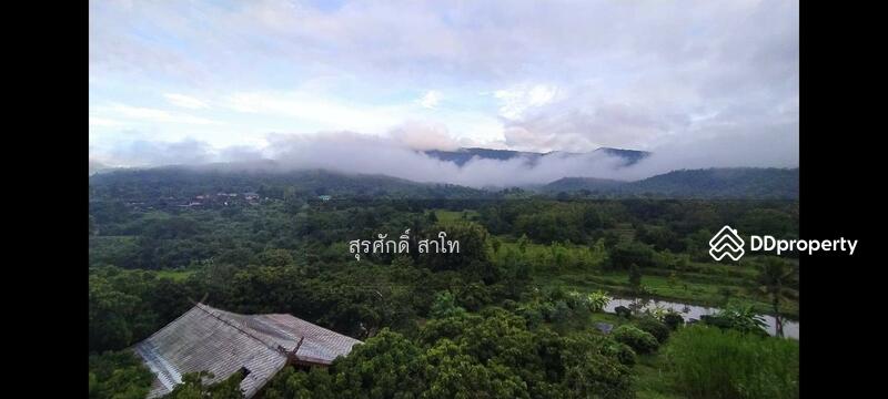 For Sale - Gardaen home 10-2-25 Rais Planting Longan,Bamboo trees, beautiful flower and water fall Sale 8.5 MB, Chiang Mai