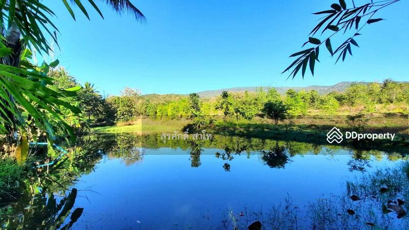 For Sale - Gardaen home 10-2-25 Rais Planting Longan,Bamboo trees, beautiful flower and water fall Sale 8.5 MB, Chiang Mai