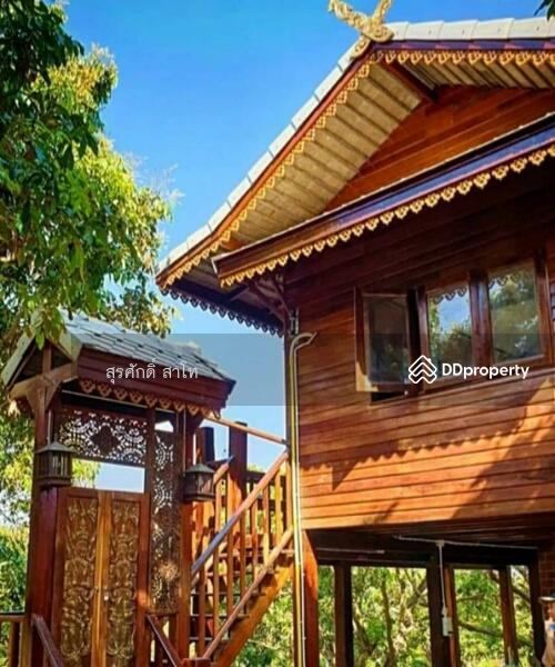For Sale - Gardaen home 10-2-25 Rais Planting Longan,Bamboo trees, beautiful flower and water fall Sale 8.5 MB, Chiang Mai