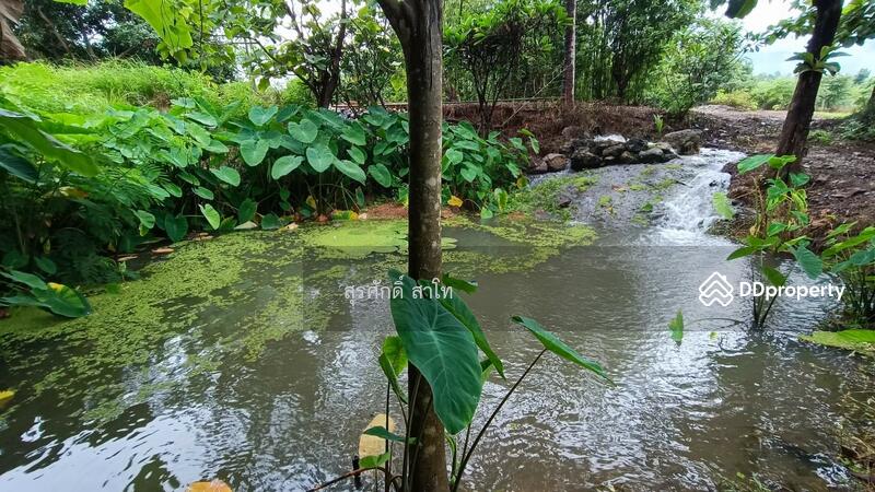 For Sale - Gardaen home 10-2-25 Rais Planting Longan,Bamboo trees, beautiful flower and water fall Sale 8.5 MB, Chiang Mai