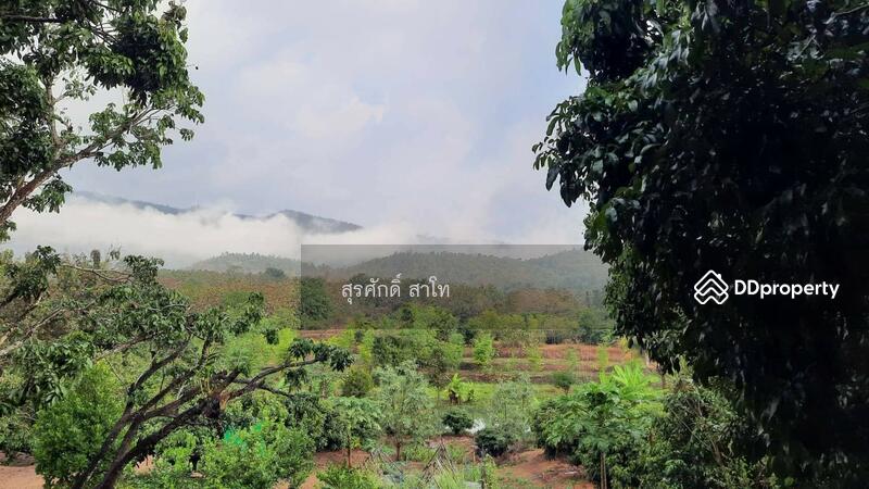 For Sale - Gardaen home 10-2-25 Rais Planting Longan,Bamboo trees, beautiful flower and water fall Sale 8.5 MB, Chiang Mai