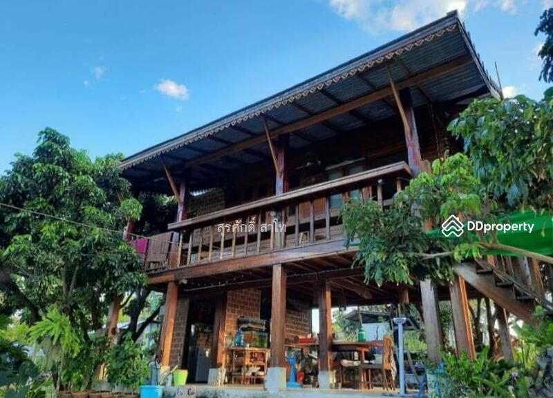 For Sale - Gardaen home 10-2-25 Rais Planting Longan,Bamboo trees, beautiful flower and water fall Sale 8.5 MB, Chiang Mai