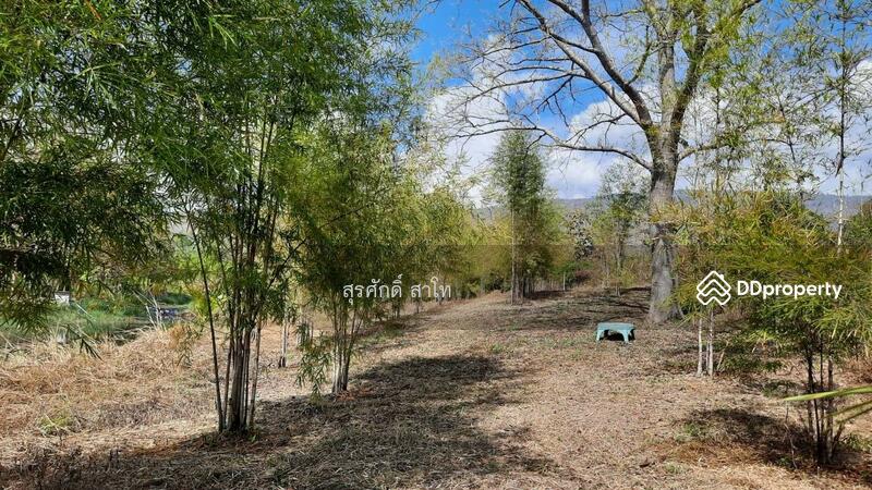 For Sale - Gardaen home 10-2-25 Rais Planting Longan,Bamboo trees, beautiful flower and water fall Sale 8.5 MB, Chiang Mai