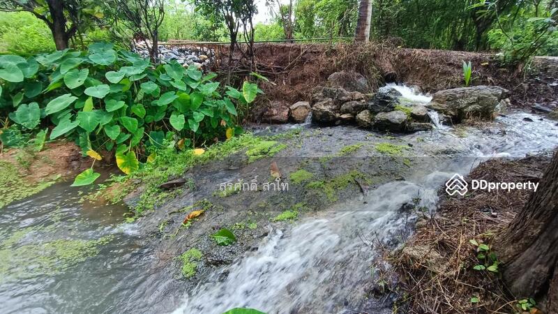 For Sale - Gardaen home 10-2-25 Rais Planting Longan,Bamboo trees, beautiful flower and water fall Sale 8.5 MB, Chiang Mai
