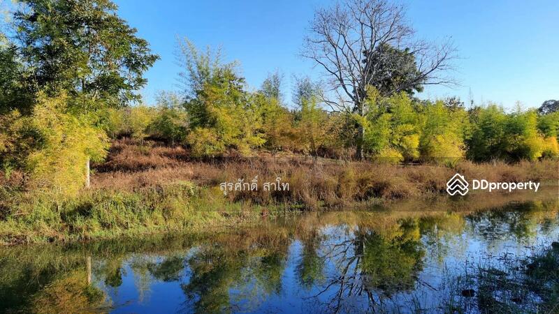 For Sale - Gardaen home 10-2-25 Rais Planting Longan,Bamboo trees, beautiful flower and water fall Sale 8.5 MB, Chiang Mai