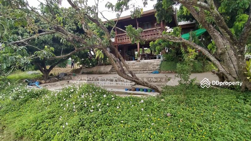 For Sale - Gardaen home 10-2-25 Rais Planting Longan,Bamboo trees, beautiful flower and water fall Sale 8.5 MB, Chiang Mai
