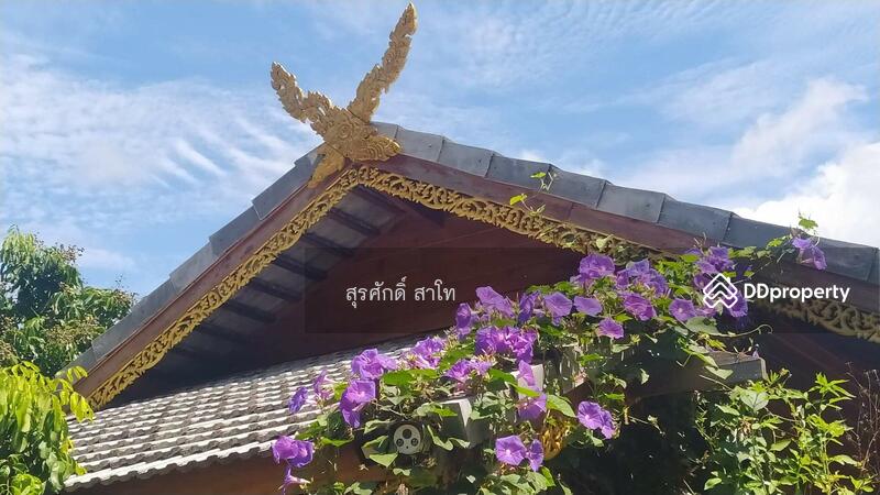 For Sale - Gardaen home 10-2-25 Rais Planting Longan,Bamboo trees, beautiful flower and water fall Sale 8.5 MB, Chiang Mai