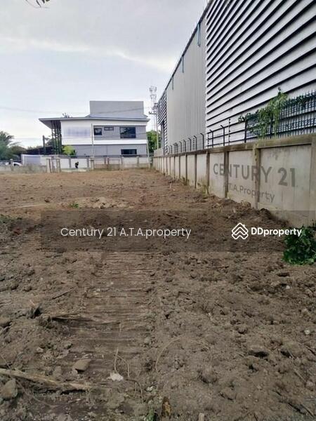 For Sale - ที่ดินพัทยา นาเกลือ, Chon Buri (Pattaya)