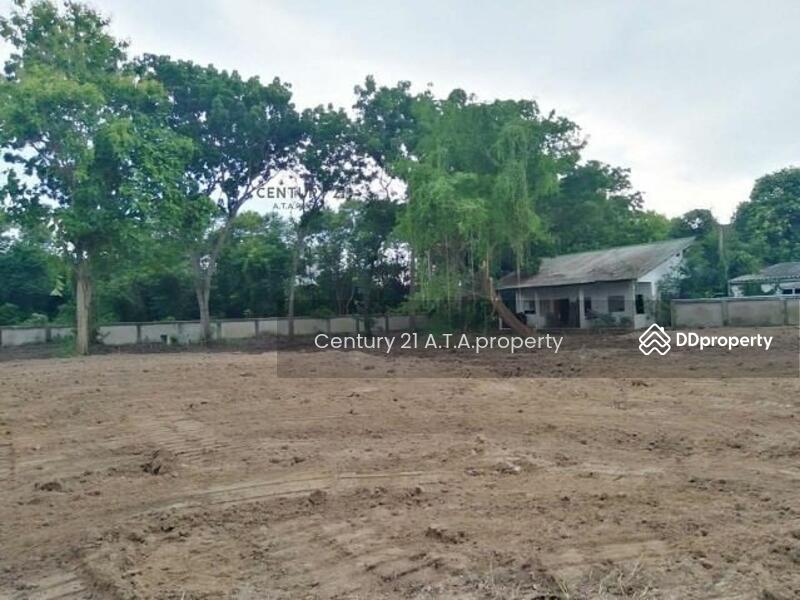 For Sale - ที่ดินพัทยา นาเกลือ, Chon Buri (Pattaya)