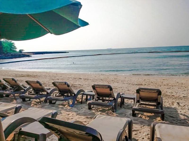 Club Royal, Chon Buri (Pattaya), 381 Soi Na Kluea 12, Na Kloe, Bang Lamung (Pattaya), Chon Buri (Pattaya), Studio, 24 sqm, Condo For Rent, by ณัฐนันท์ สุนทรวรจันทร์, 10466817 - DDproperty.com