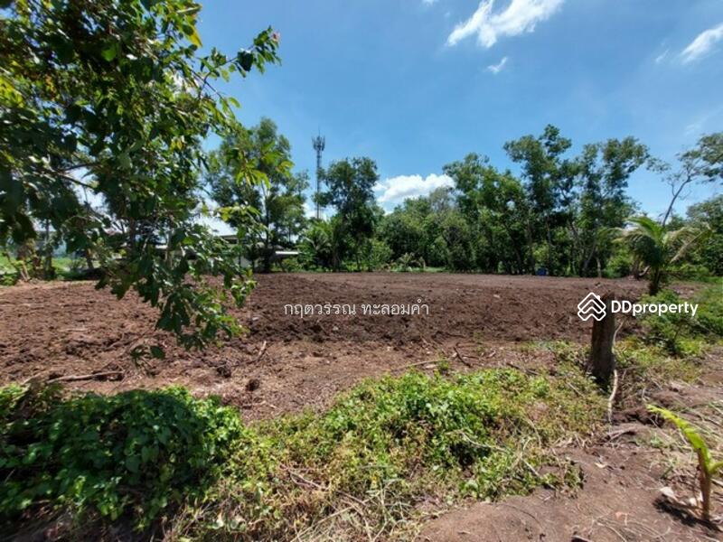 ที่ดินคลอง 13, ปทุมธานี, 1 -, บึงน้ำรักษ์, ธัญบุรี, ปทุมธานี, 400 ตร.ม., ที่ดิน ขาย, โดย กฤตวรรณ ทะลอมคำ, 10478063 - DDproperty.com