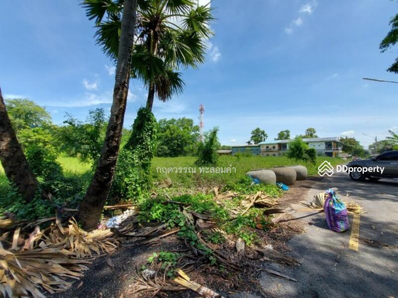 ที่ดินคลอง 13, ปทุมธานี, 1 -, บึงน้ำรักษ์, ธัญบุรี, ปทุมธานี, 400 ตร.ม., ที่ดิน ขาย, โดย กฤตวรรณ ทะลอมคำ, 10478063 - DDproperty.com