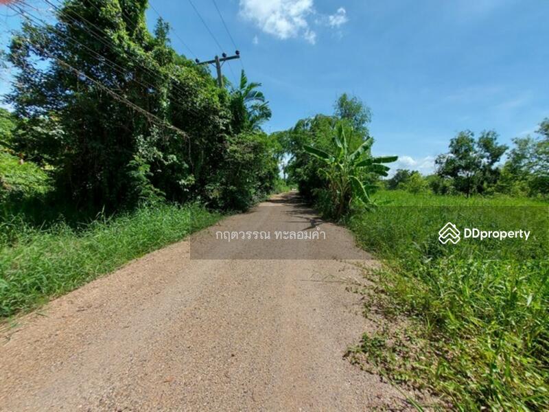 ที่ดินคลอง 13, Pathum Thani, 1 -, Bung Nam Rak, Thanyaburi, Pathum Thani, , 400 sqm, Land For Sale, by กฤตวรรณ ทะลอมคำ, 10478063 - DDproperty.com