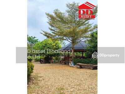 ขาย - อำเภอฝาง​ จ.เชียงใหม่​, เชียงใหม่