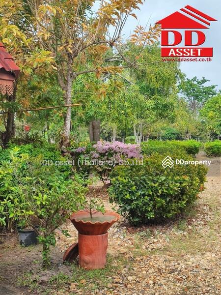 ขาย - อำเภอฝาง​ จ.เชียงใหม่​, เชียงใหม่
