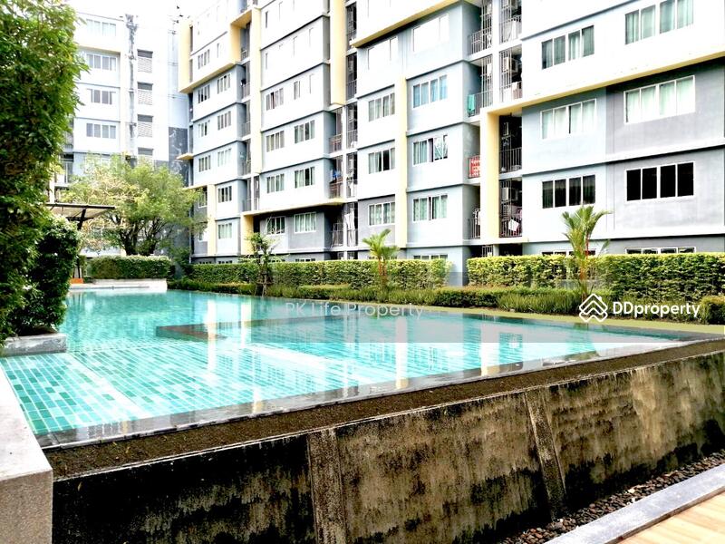 Dcondo Kathu-Patong : ดีคอนโด กะทู้-ป่าตอง, ภูเก็ต, ถนนวิชิตสงคราม, กะทู้, กะทู้, ภูเก็ต, 30 ตร.ม., คอนโด ให้เช่า, โดย PK LIFE Property, 10507712 - DDproperty.com