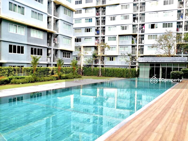 Dcondo Kathu-Patong : ดีคอนโด กะทู้-ป่าตอง, ภูเก็ต, ถนนวิชิตสงคราม, กะทู้, กะทู้, ภูเก็ต, 30 ตร.ม., คอนโด ให้เช่า, โดย PK LIFE Property, 10507712 - DDproperty.com