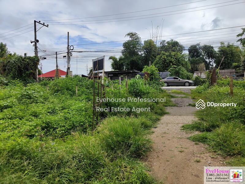 ขาย - ถนนวงแหวนรอบ 3 เชียงใหม่, เชียงใหม่