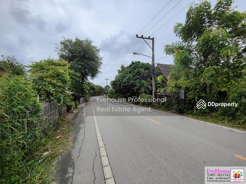 ขาย - ถนนวงแหวนรอบ 3 เชียงใหม่, เชียงใหม่