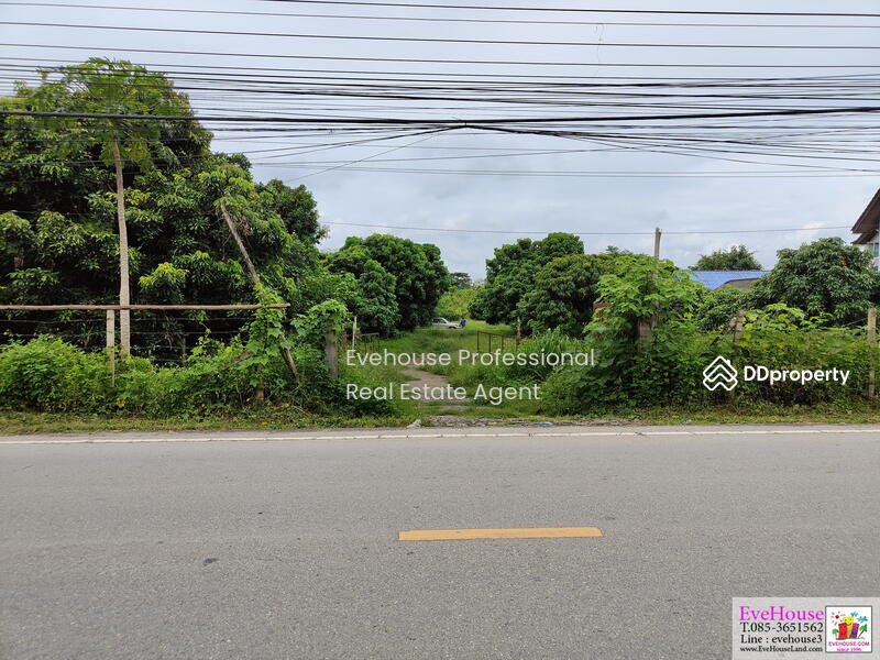 ขาย - ถนนวงแหวนรอบ 3 เชียงใหม่, เชียงใหม่