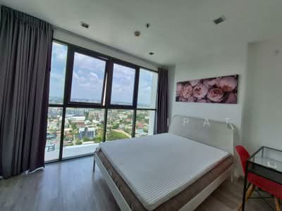 For Rent - IDEO MOBI Sukhumvit 81, Bangkok