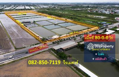 ขาย - ที่ดิน ลาดกระบัง เหมาะสร้าง โครงการจัดสรร โกดัง คลังสินค้า 80-0-0 ไร่, กรุงเทพ