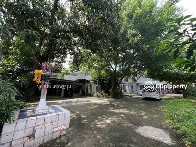 ขาย - ที่ดิน 348 ตารางวา เอกมัย10, กรุงเทพ