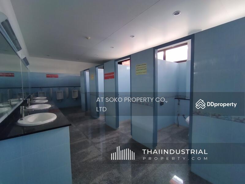 โกดังให้เช่า โรงงานให้เช่า ขายโกดัง ขายโรงงาน 2431 ตรม บางเสาธง, บางเสาธง, สมุทรปราการ (ID: AT658SR), สมุทรปราการ, บางเสาธง, สมุทรปราการ, 2,431 ตร.ม., โกดัง-โรงงาน ให้เช่า, โดย AT SOKO PROPERTY CO., LTD, 10522911 - DDproperty.com