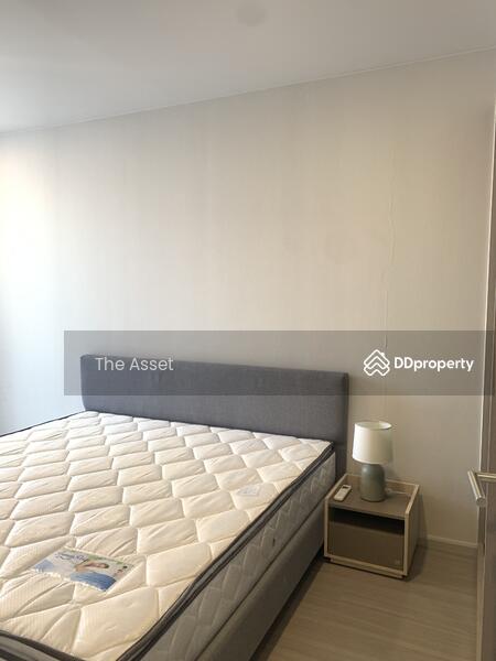 Quintara Treehaus Sukhumvit 42 : ควินทารา ทรีเฮาส์ สุขุมวิท 42, กรุงเทพ, ซอยบาร์โบส 2 ถนนสุขุมวิท 42, พระโขนง, คลองเตย, กรุงเทพ, 32 ตร.ม., คอนโด ให้เช่า, โดย มานพ พันธ์สุขเลิศ, 10528052 - DDproperty.com