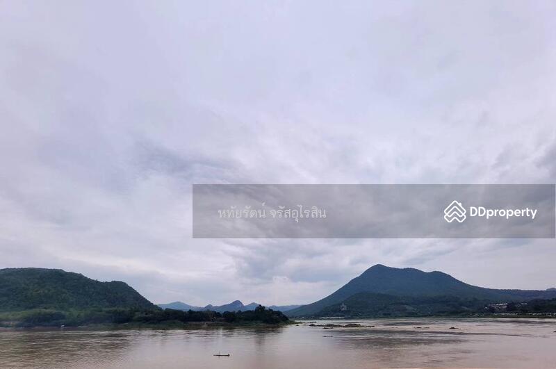 ขาย - 42110, เลย