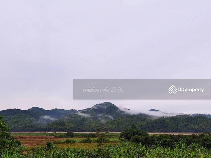 For Sale - 42110, Loei